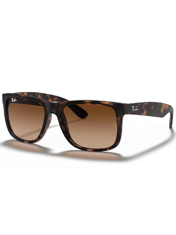 RayBan 4165