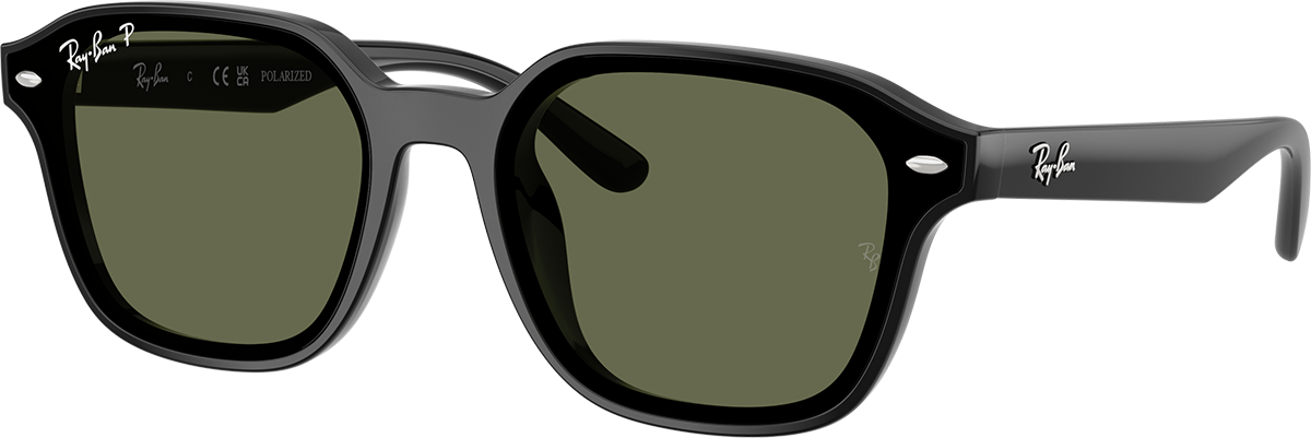 RayBan 4458D